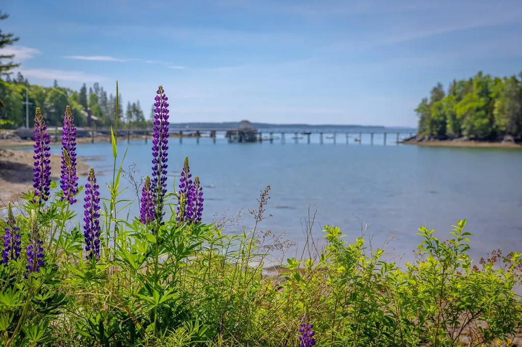 30 Neighborhood Road, Northeast Harbor Mount Desert ME 04662