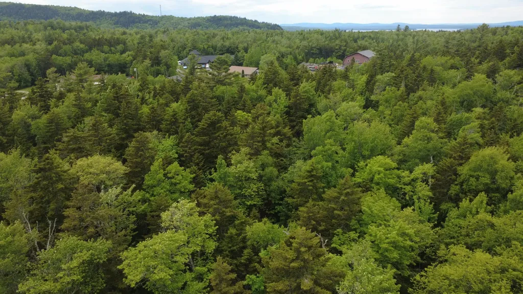Lot 02-1 Off Rockwood Road Taunton & Raynham Academy Grant ME 04478