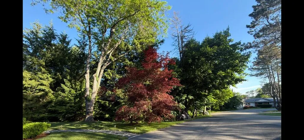 281 Clyde Road Bangor ME 04401