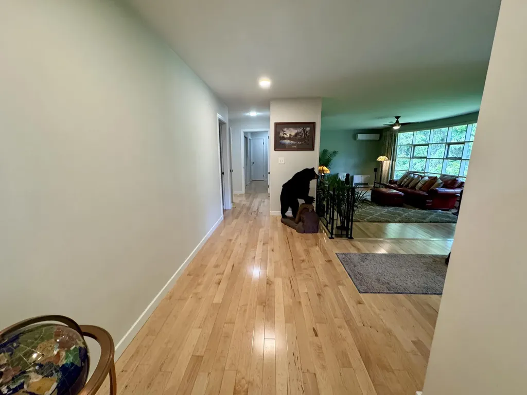 281 Clyde Road Bangor ME 04401