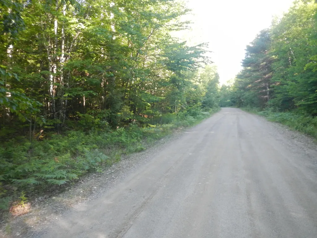 02-09-00-0 Upper Dobsis Road Lakeville ME 04487