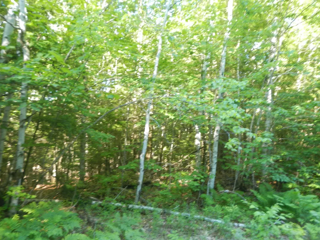 02-09-00-0 Upper Dobsis Road Lakeville ME 04487