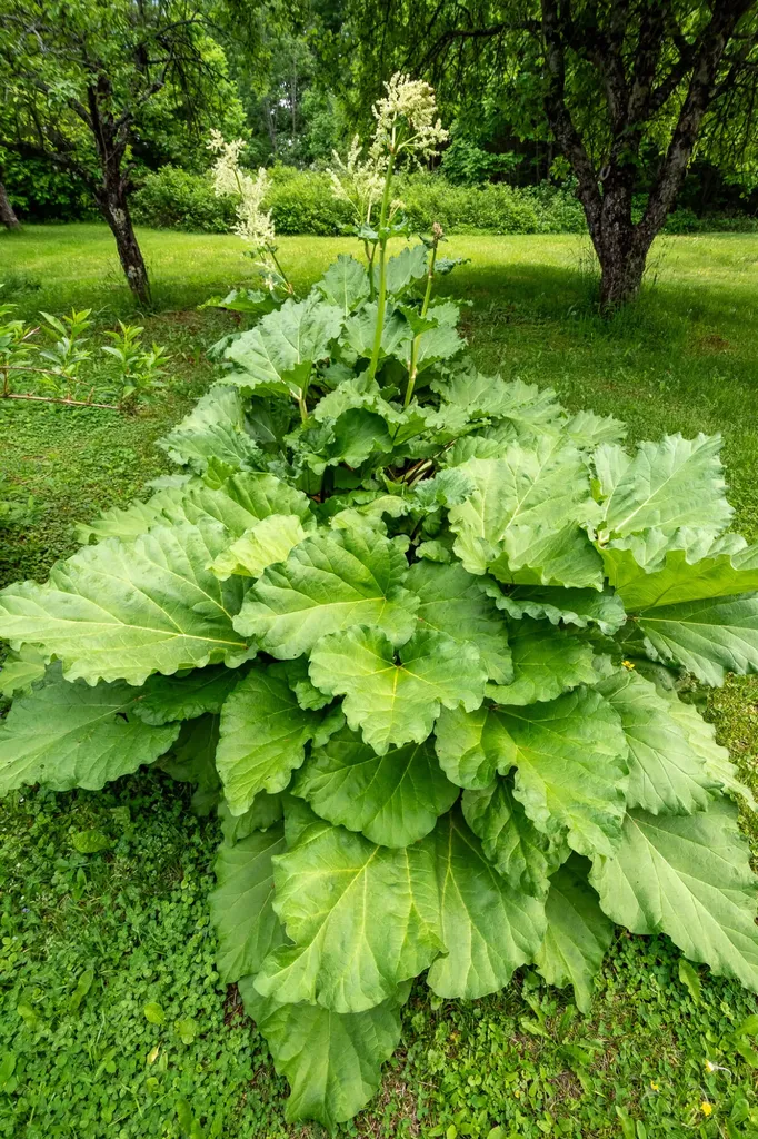 87 N North Dexter Road Sangerville ME 04479
