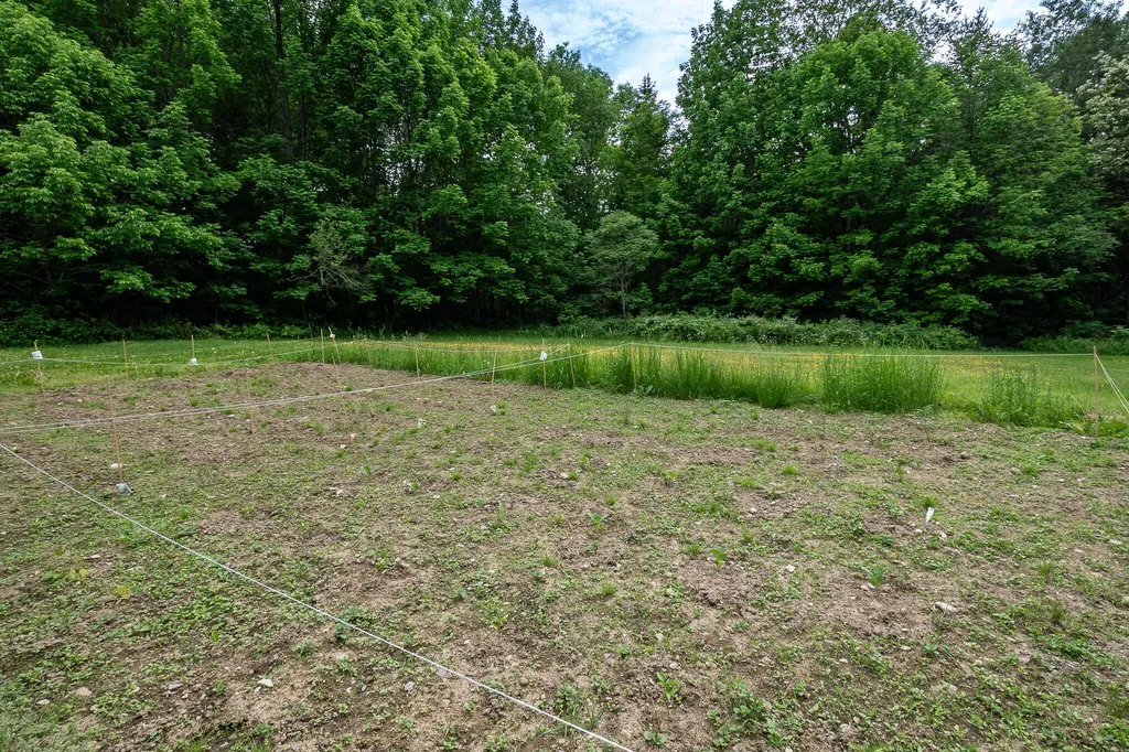 87 N Dexter Road Sangerville ME 04479