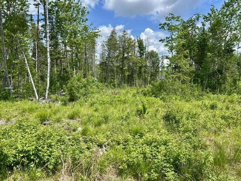 Lot 2 Hammond Brook Road Monson ME 04464