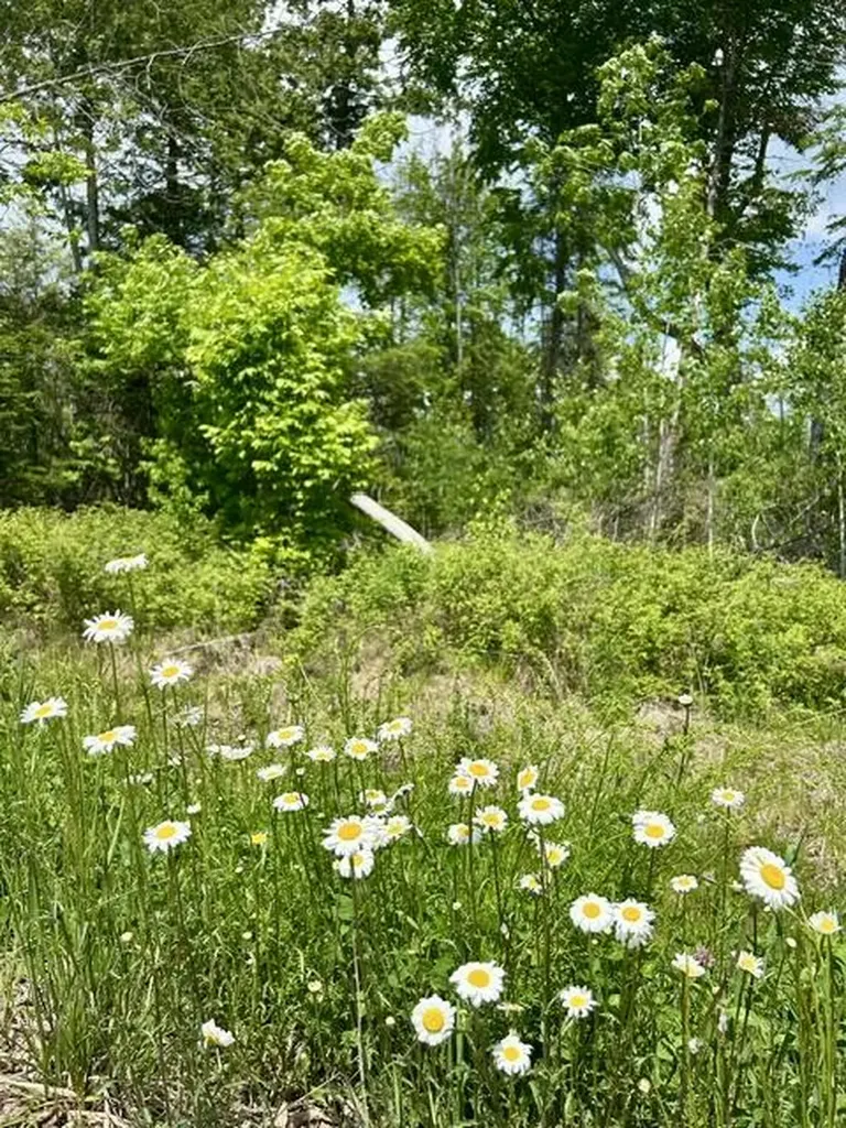 Lot 2 Hammond Brook Road Monson ME 04464