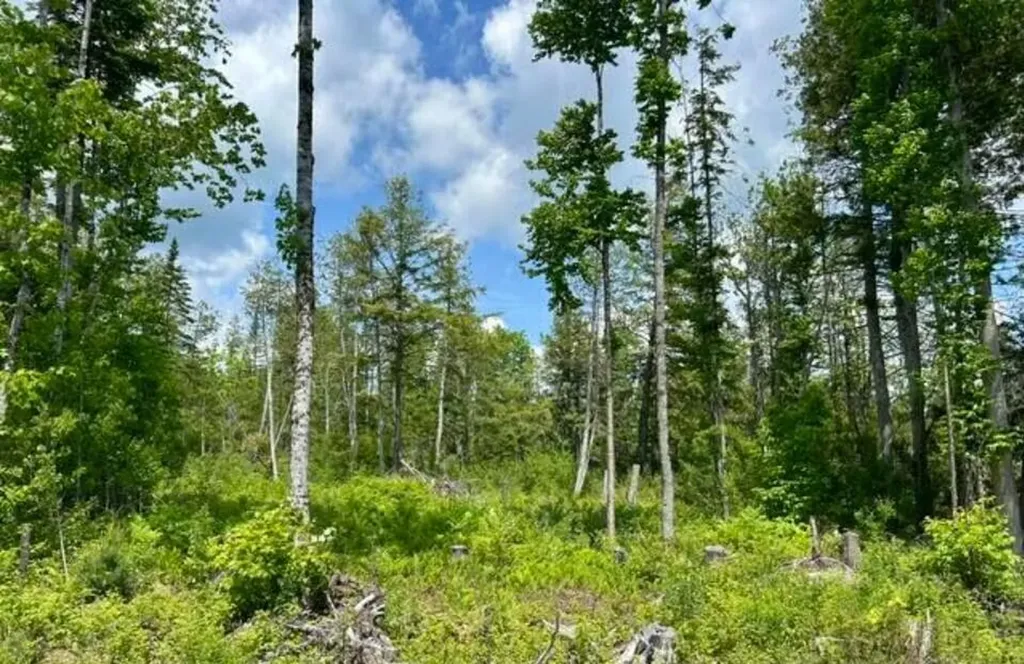 Lot 2 Hammond Brook Road Monson ME 04464