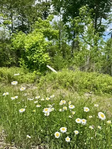 Lot 2 Hammond Brook Road Monson ME 04464