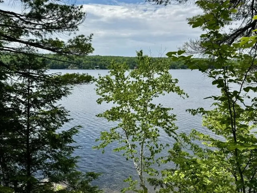 558 Old Ferry Road Hartland ME 04943
