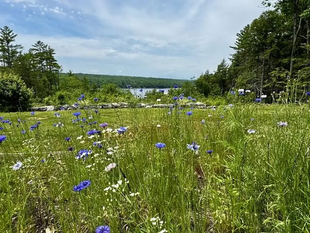 558 Old Ferry Road Hartland ME 04943