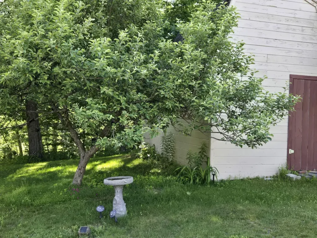 54 Blayne Street Dixfield ME 04224
