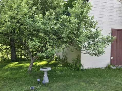 54 Blayne Street Dixfield ME 04224