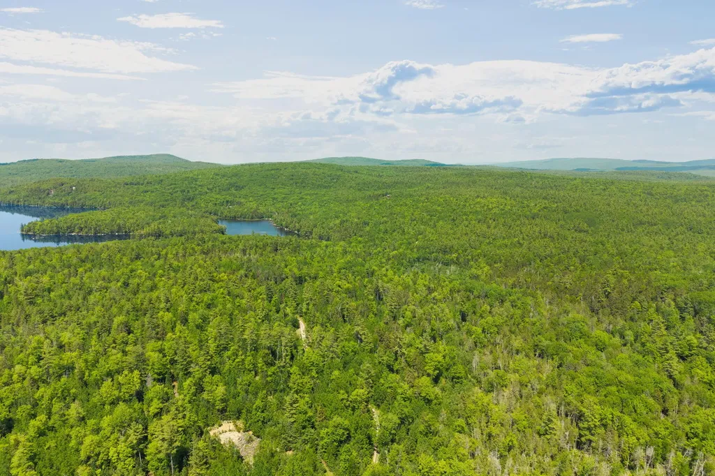 M24 L02, 03, 13 Wilderness Way Bucksport ME 04416