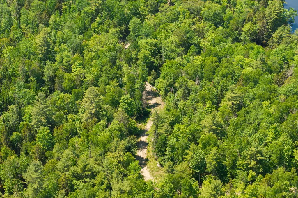 M24 L02, 03, 13 Wilderness Way Bucksport ME 04416