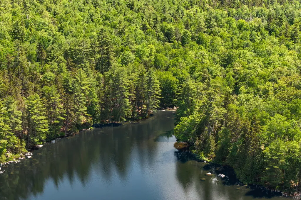 M24 L02, 03, 13 Wilderness Way Bucksport ME 04416