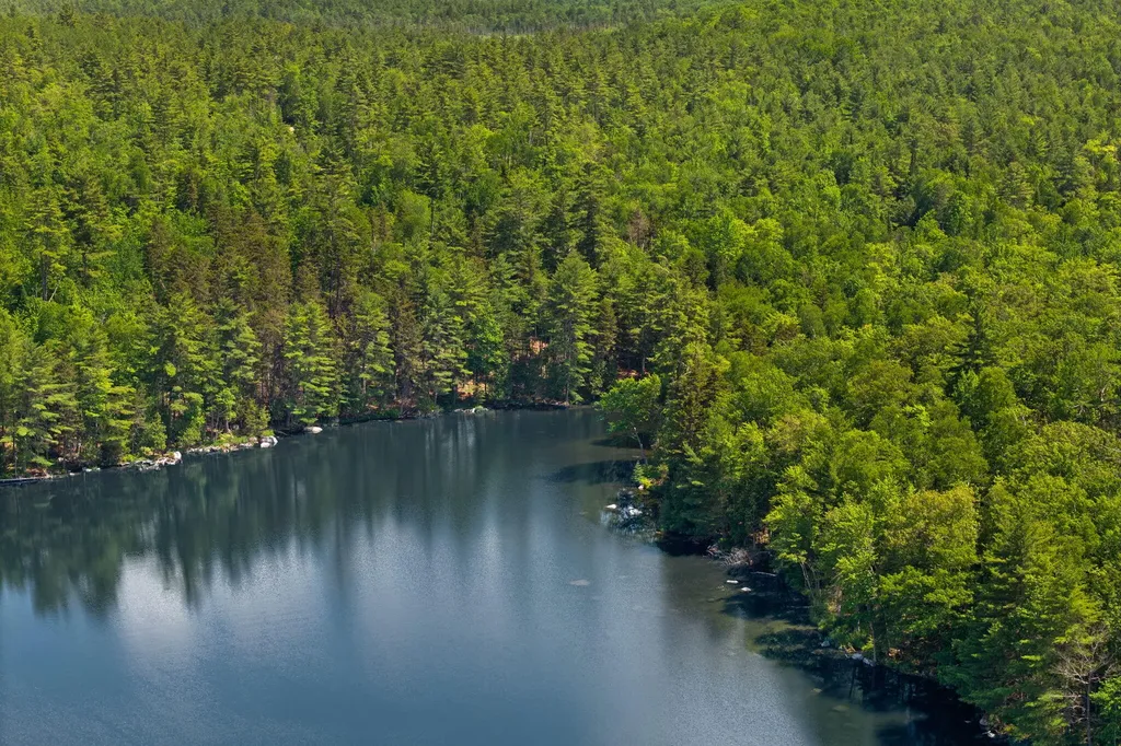 M24 L02, 03, 13 Wilderness Way Bucksport ME 04416