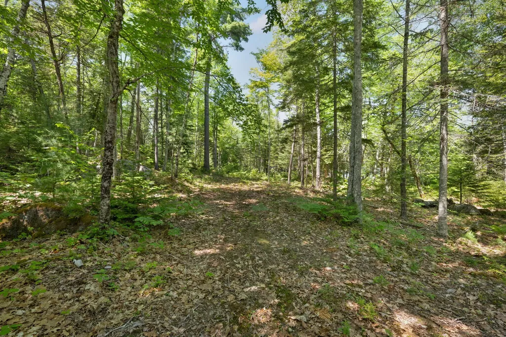 M24 L02, 03, 13 Wilderness Way Bucksport ME 04416