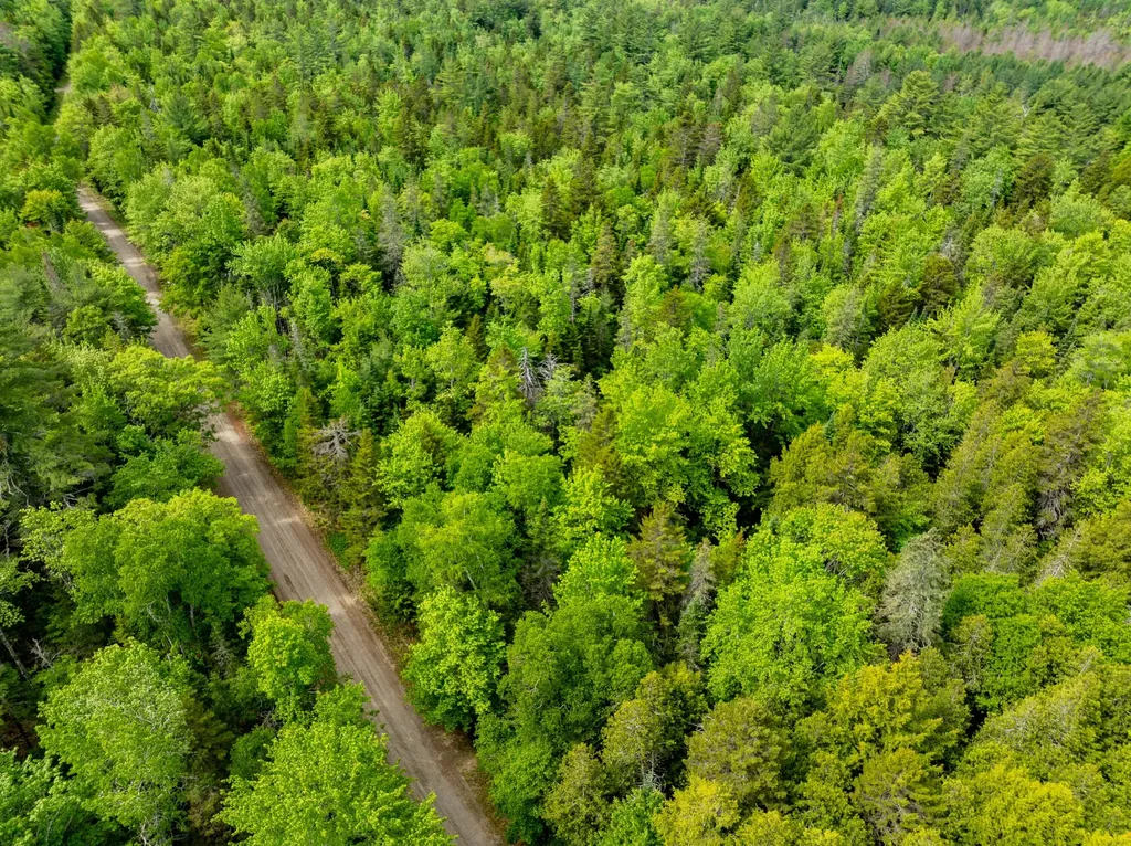 400 River Bend Road Deblois ME 04622