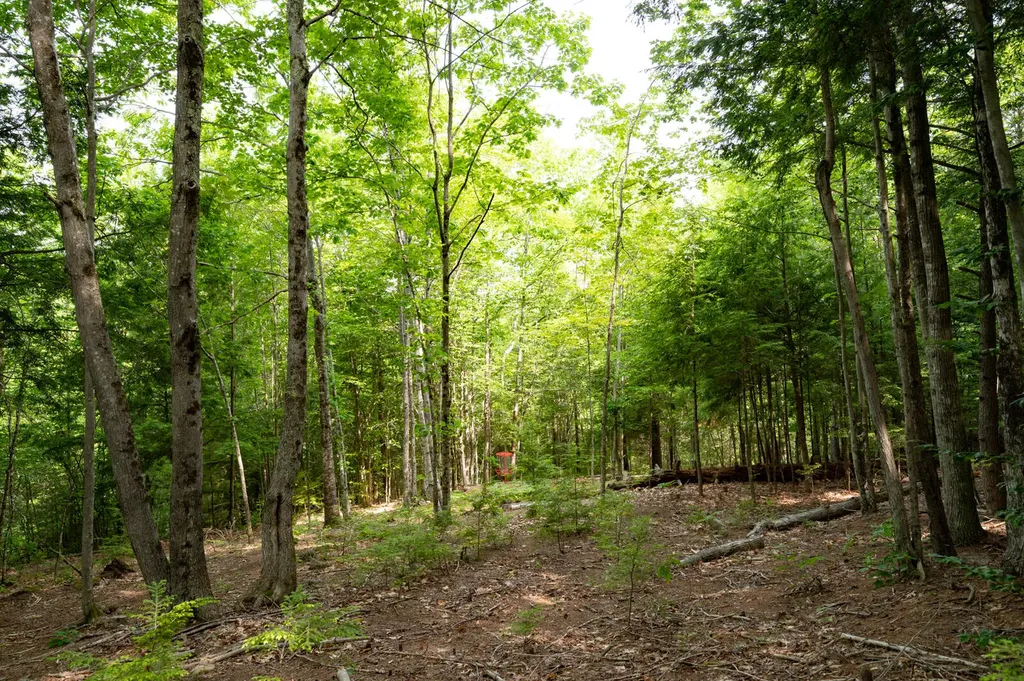 237-001 Hopper Road Acton ME 04001