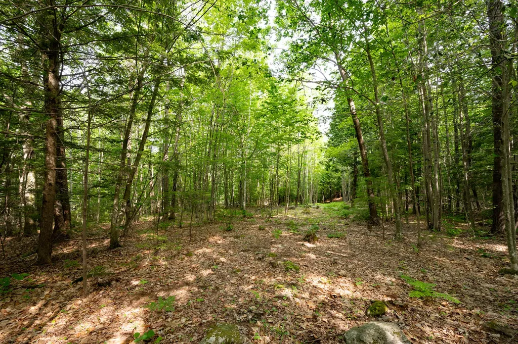 237-001 Hopper Road Acton ME 04001
