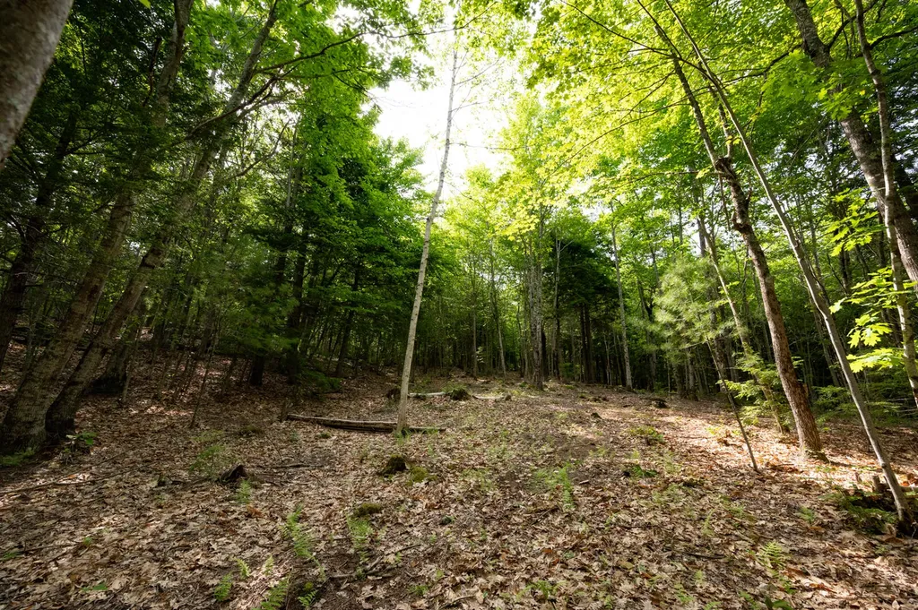 237-001 Hopper Road Acton ME 04001