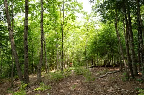 237-001 Hopper Road Acton ME 04001