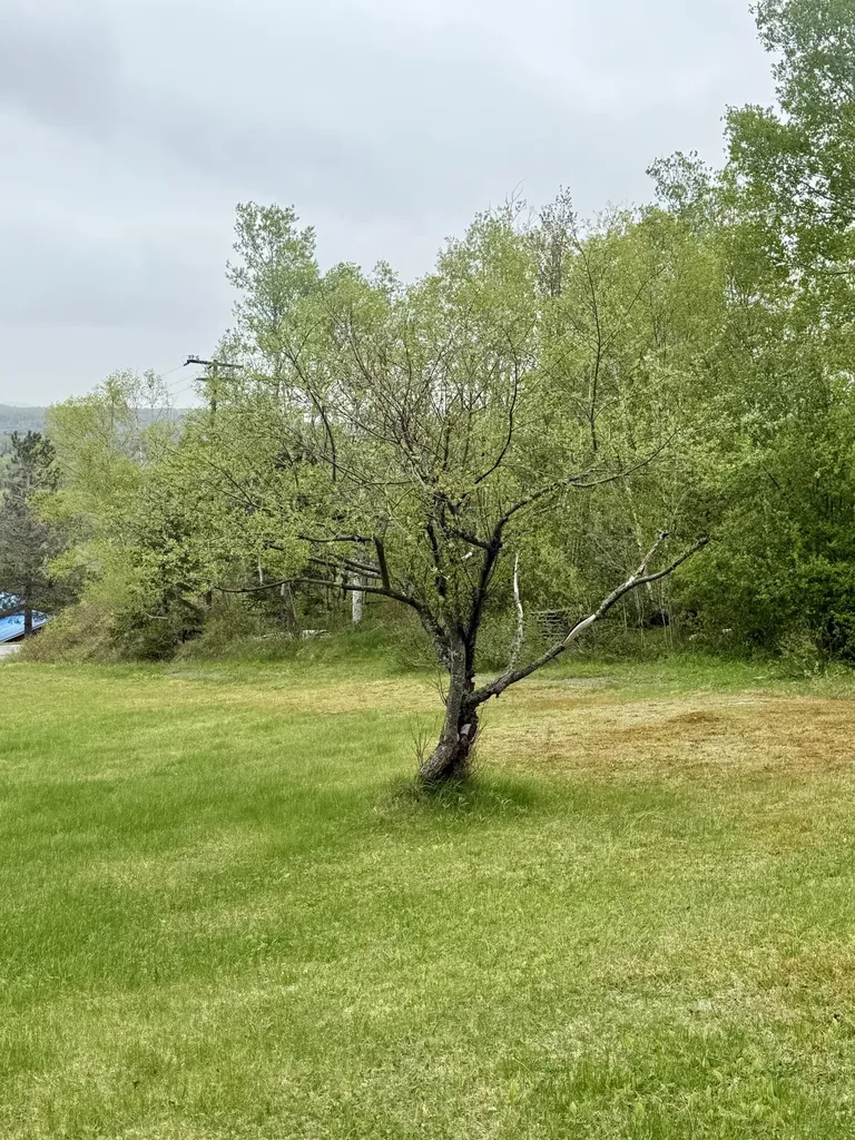 0 Albert Street Madawaska ME 04756