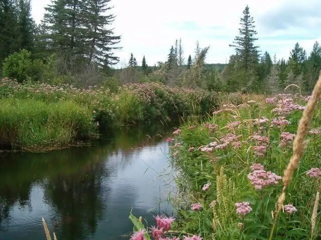 0 Albert Street Madawaska ME 04756