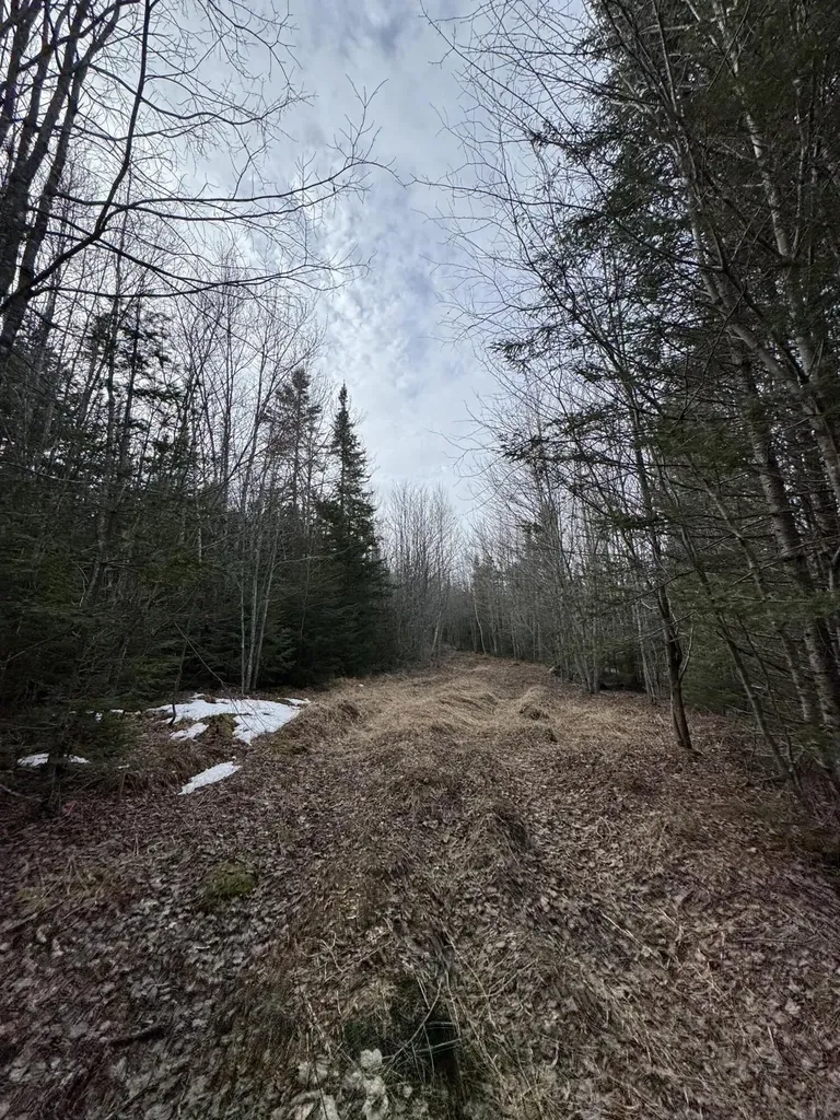 Lot 27 Lively Brook Acres Whiting ME 04691