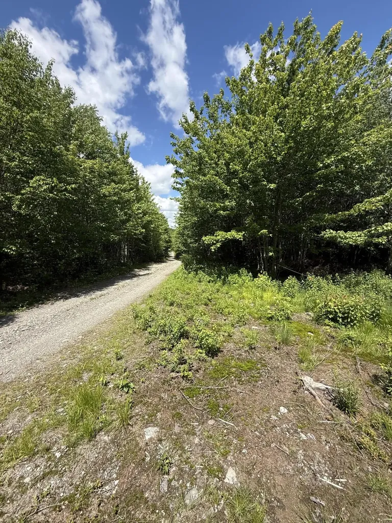 Lot 27 Lively Brook Acres Whiting ME 04691
