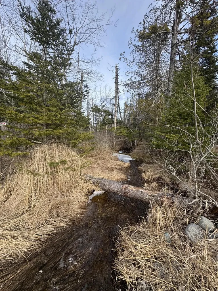 Lot 27 Lively Brook Acres Whiting ME 04691