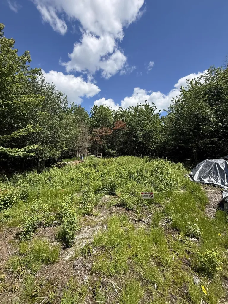 Lot 27 Lively Brook Acres Whiting ME 04691