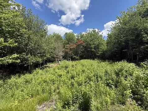 Lot 27 Lively Brook Acres Whiting ME 04691