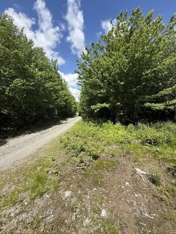 Lot 27 Lively Brook Acres Whiting ME 04691