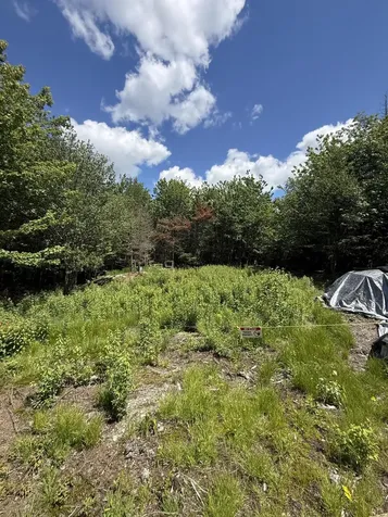 Lot 27 Lively Brook Acres Whiting ME 04691