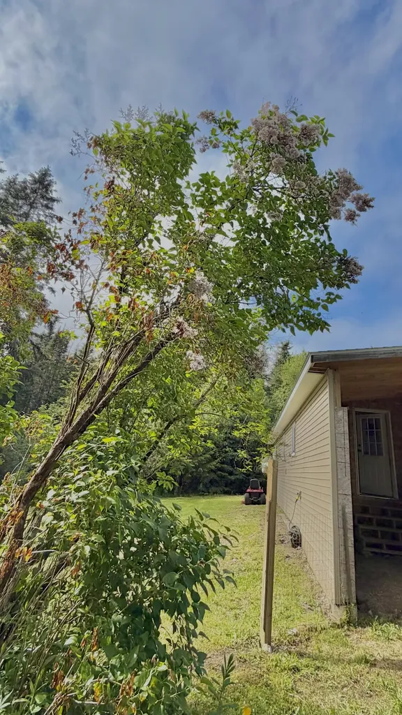 151 Pigeon Hill Road Steuben ME 04680
