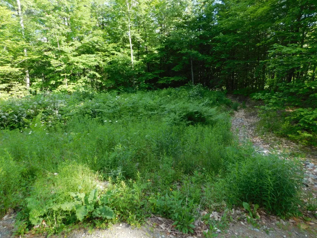740 Hole In The Wall Road Solon ME 04979