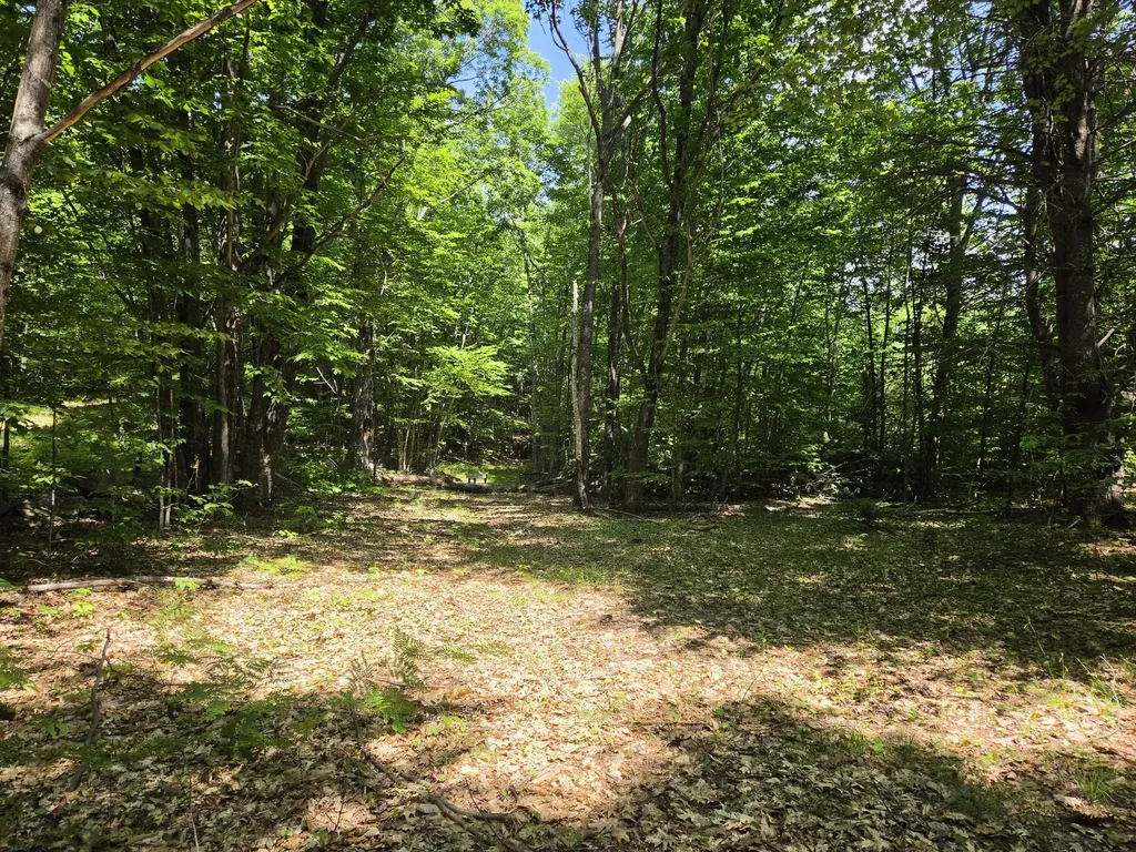 0 Quarry Road Jay ME 04239