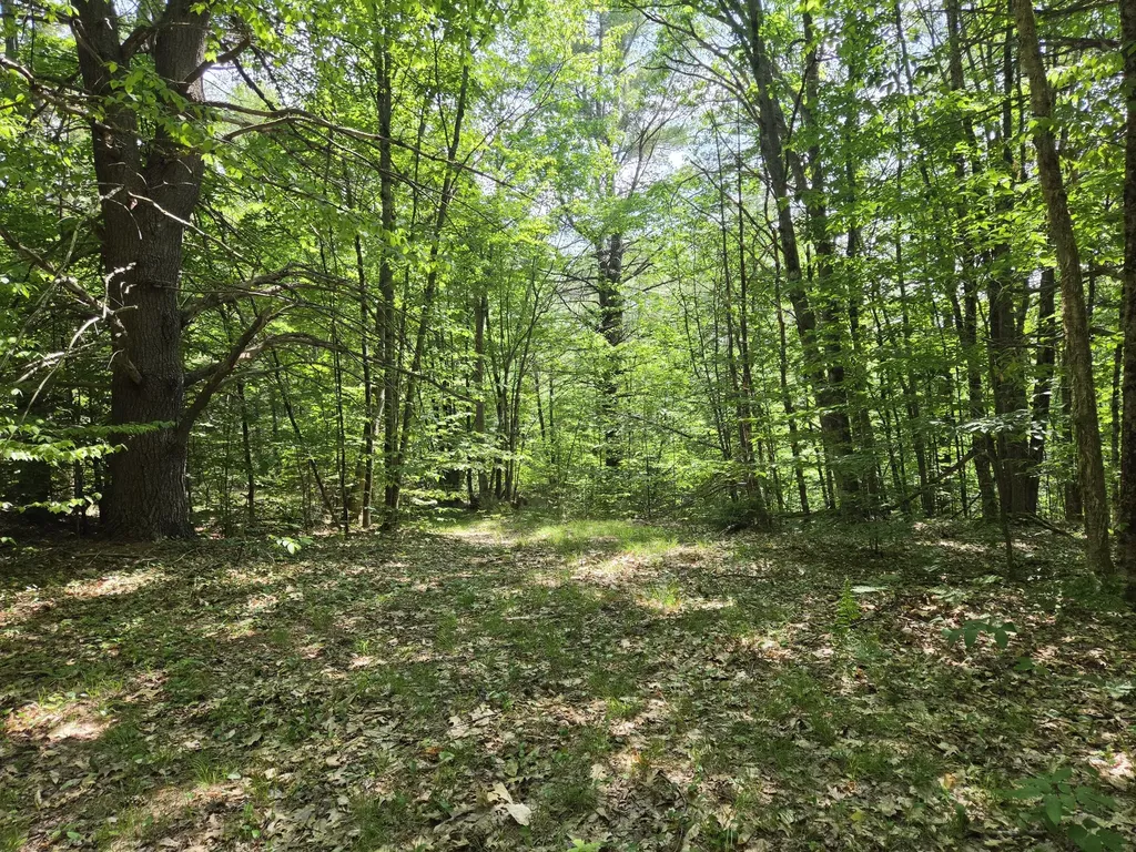 0 Quarry Road Jay ME 04239