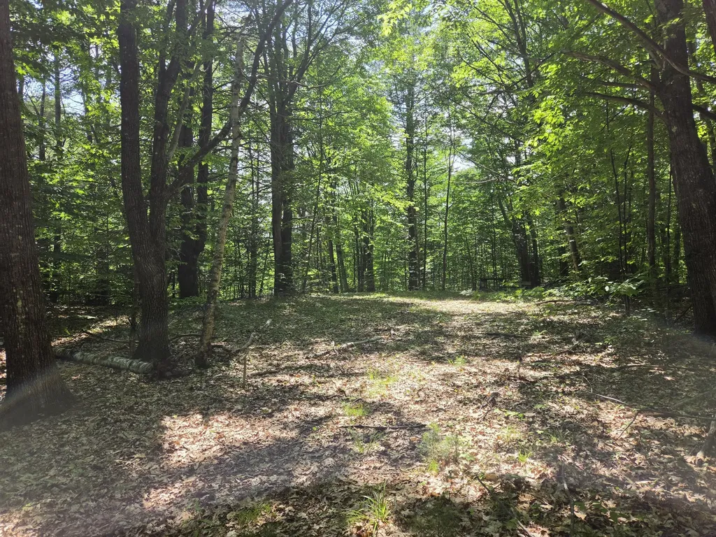0 Quarry Road Jay ME 04239