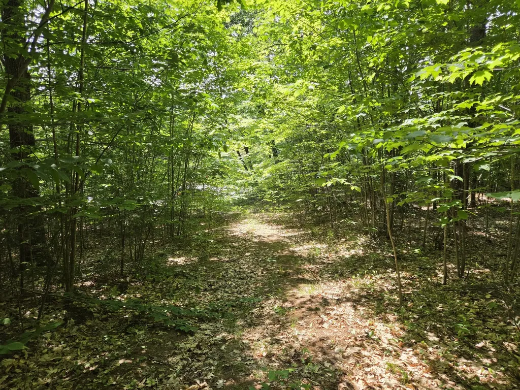 0 Quarry Road Jay ME 04239
