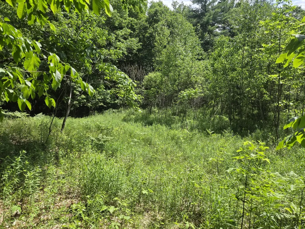 0 Quarry Road Jay ME 04239