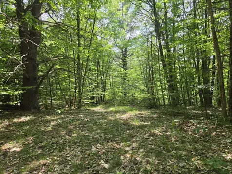 0 Quarry Road Jay ME 04239