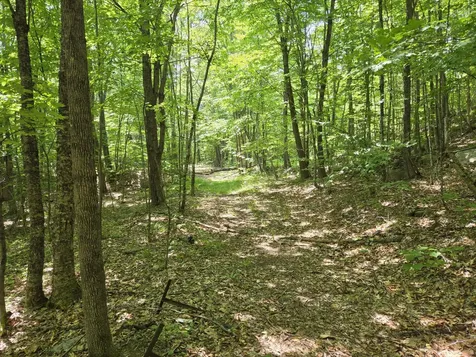 0 Quarry Road Jay ME 04239