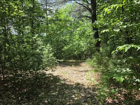 0 Quarry Road Jay ME 04239