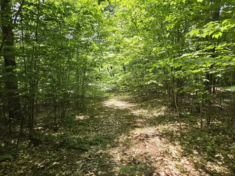 0 Quarry Road Jay ME 04239
