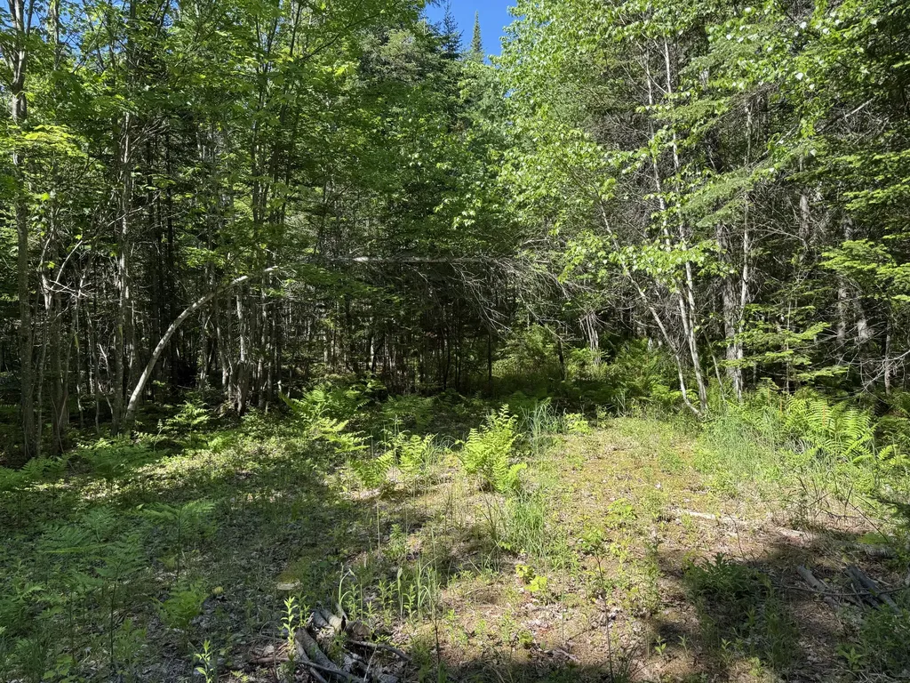 Lot 2b Kingfield Road New Vineyard ME 04956