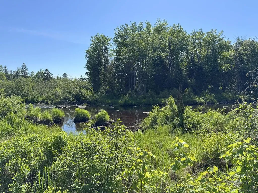 Lot 2b Kingfield Road New Vineyard ME 04956