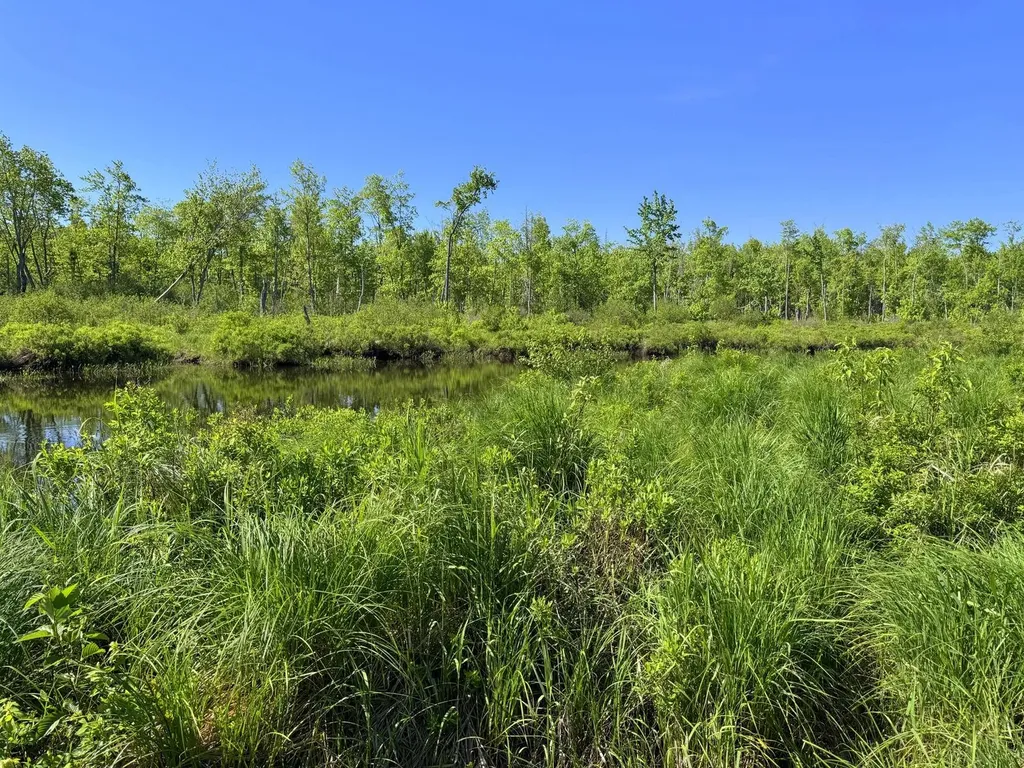 Lot 2b Kingfield Road New Vineyard ME 04956