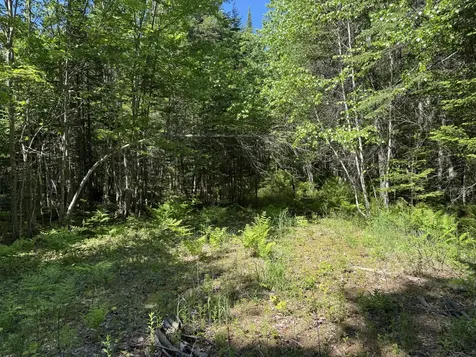 Lot 2b Kingfield Road New Vineyard ME 04956